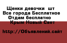 Щенки девочки 4шт - Все города Бесплатное » Отдам бесплатно   . Крым,Новый Свет